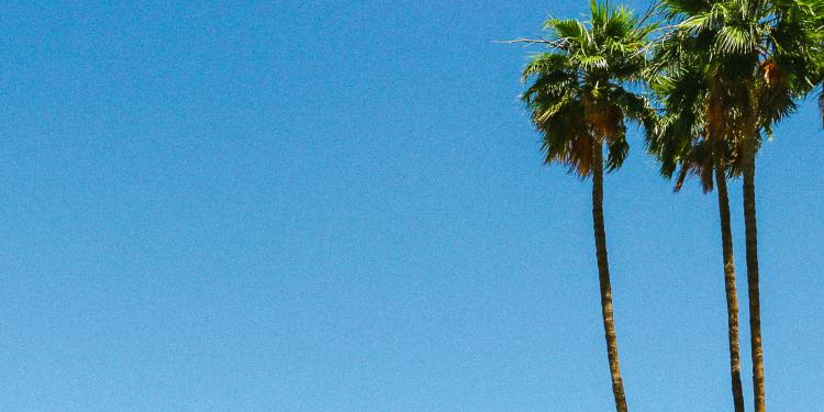 The Essential Guide to Real Estate Investing